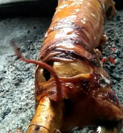 アパートホテル Kadino Vrelo